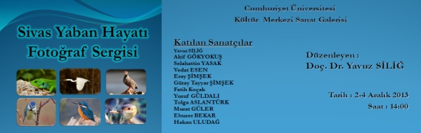 TARİH: 2-4 ARALIK 2013 SAAT:14.00 YER: CÜ KÜLTÜR MERKEZİ SANAT GALERİSİ
