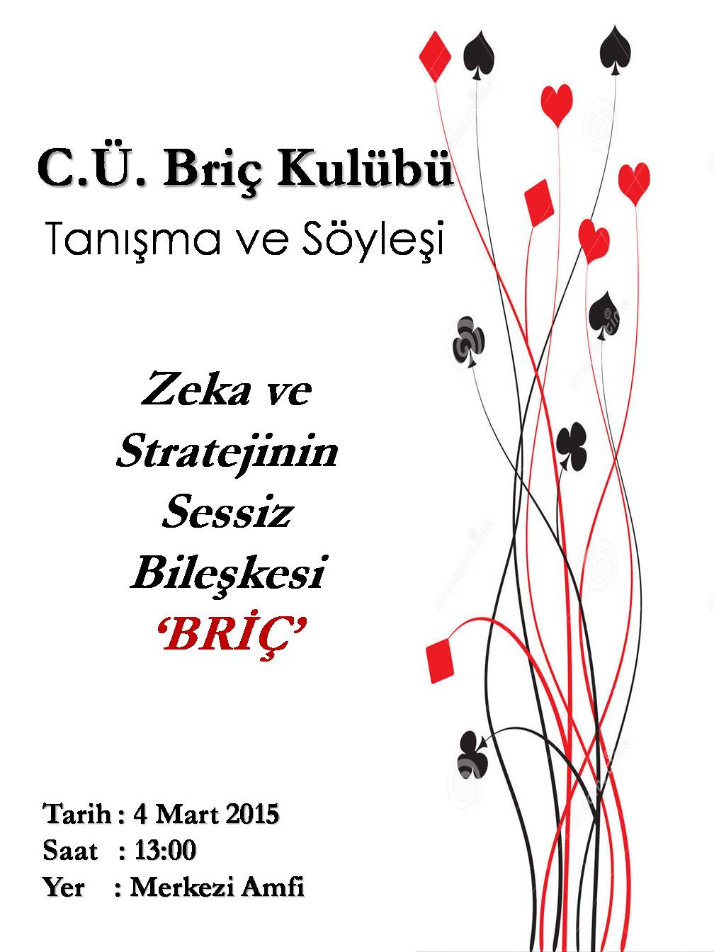 Söyleşi "Zeka ve Stratejinin Sessiz Bileşkesi 'BRİÇ'"